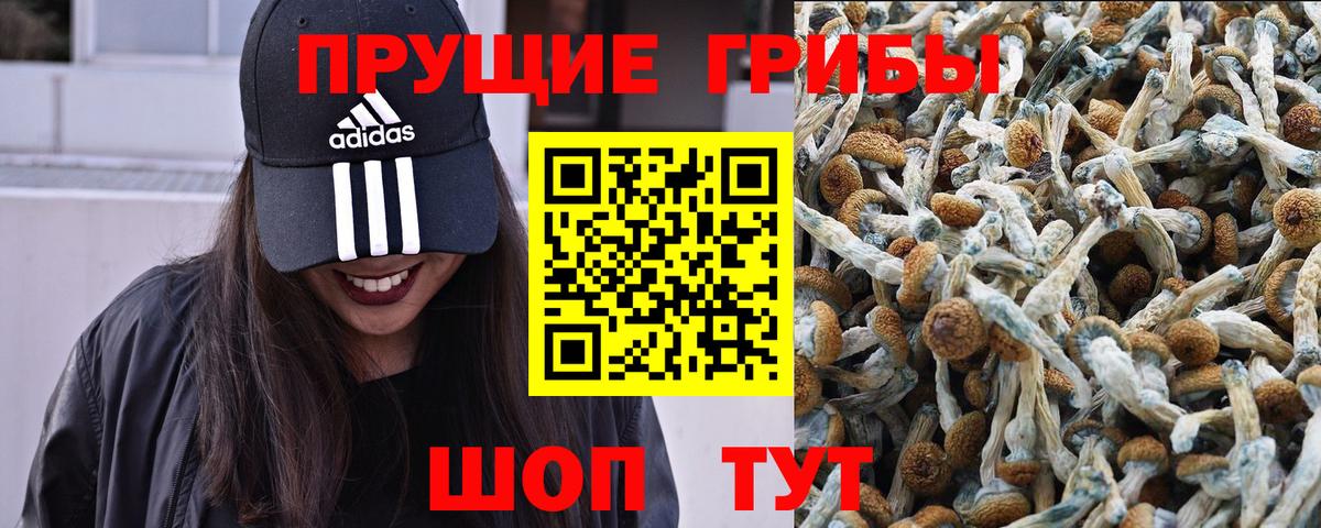 Псилоцибиновые грибы мухоморы Полысаево