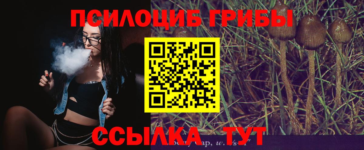 Полысаево  Галлюциногенные грибы мухоморы  Вход с VPN 